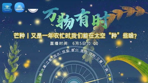 芒种 万物科技中的适时而作